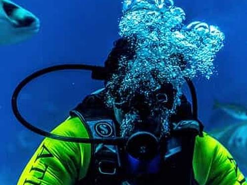 Scubadivein