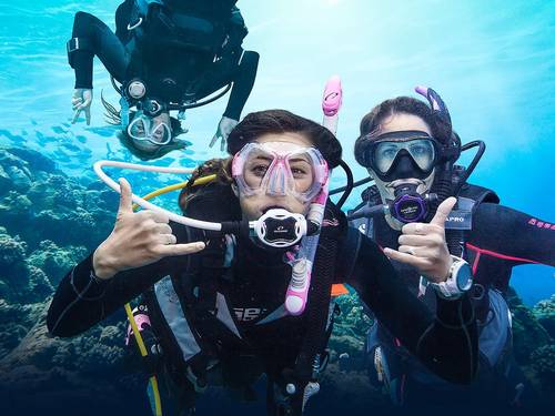 AQUA ONE Dive | PADI 5 Star IDC