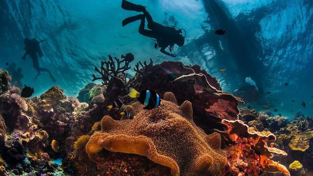 Boracay Fisheye Divers