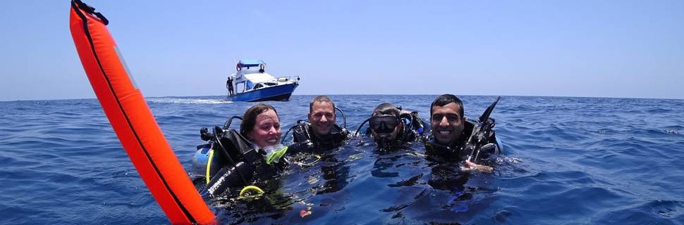 Shark Bay Dive Center