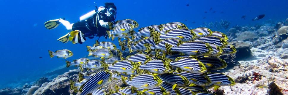 Maafushi Dive & Water Sports.
