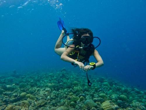 Divers Lodge Fulidhoo