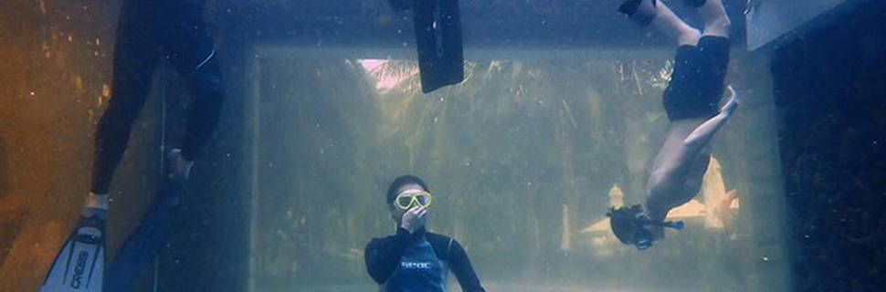 Diving Best Resort