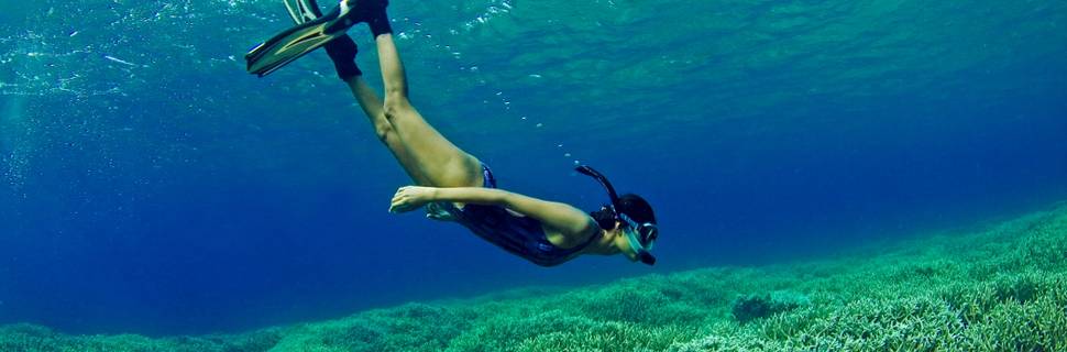 Island Scuba - Scuba Diving In Sri Lanka