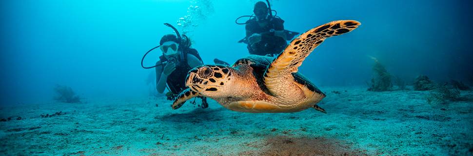 Alghais Diving Center