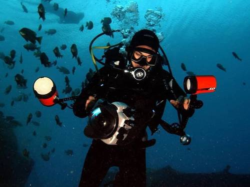 Kenya Coastal Divers