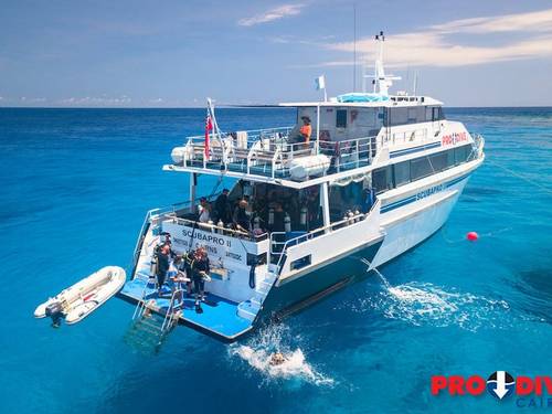 Pro Dive Cairns
