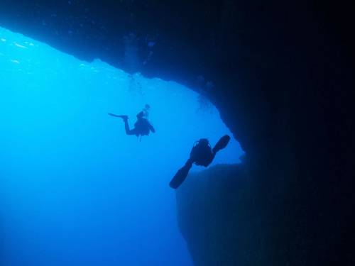 Blue Waters Dive Cove