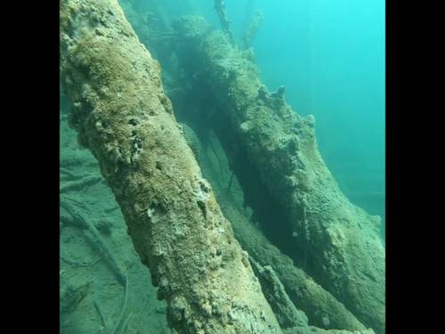 Gerda's Dive Shop