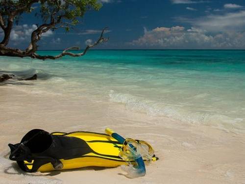 Thoddoo Diving Center