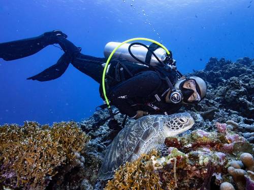 Trawangan Stingray Divers