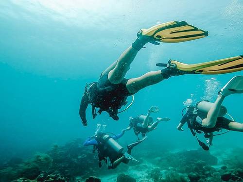 S.E. Aruba Fly'N Dive