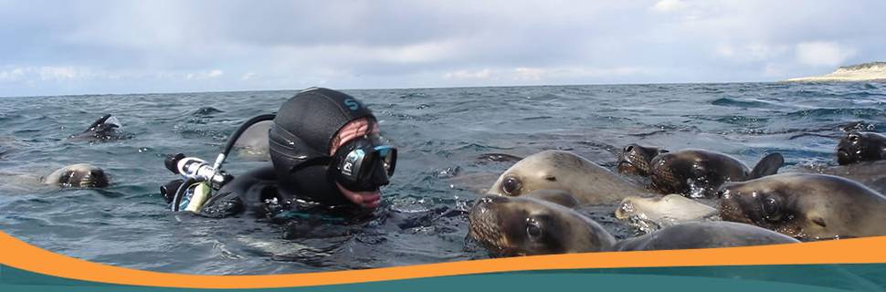 Scuba Duba