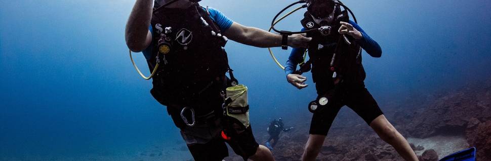 Drake Bay Diving