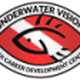 Underwater Vision