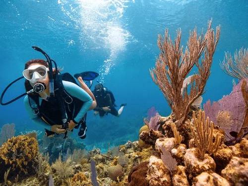 Scuba Life Cozumel