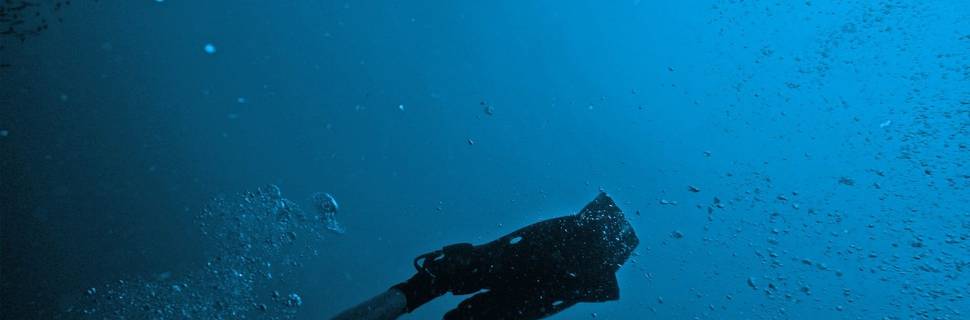 Pristine Paradise Dive Resort