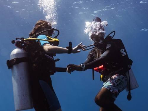 Ayala Bubbles Dive Center