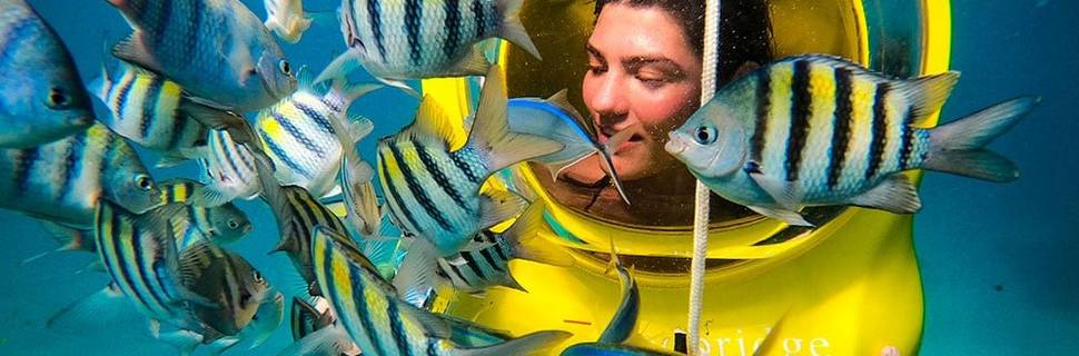 Scuba Doo