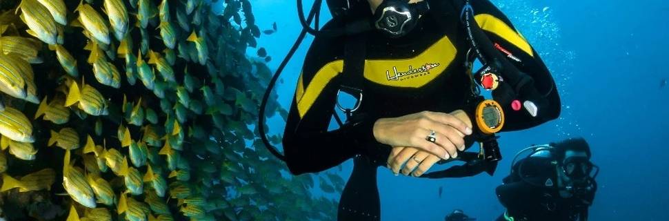 Go Diving Koh Tao - Scuba & Freediving Centre
