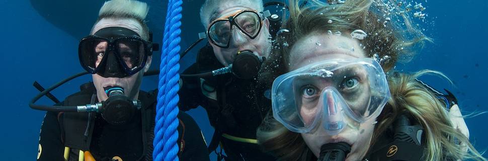 Divers United (Elite Diving)
