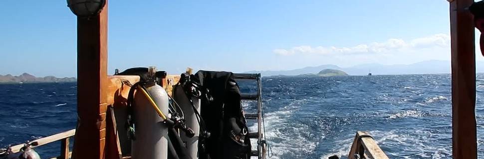 Bajo Dive Club
