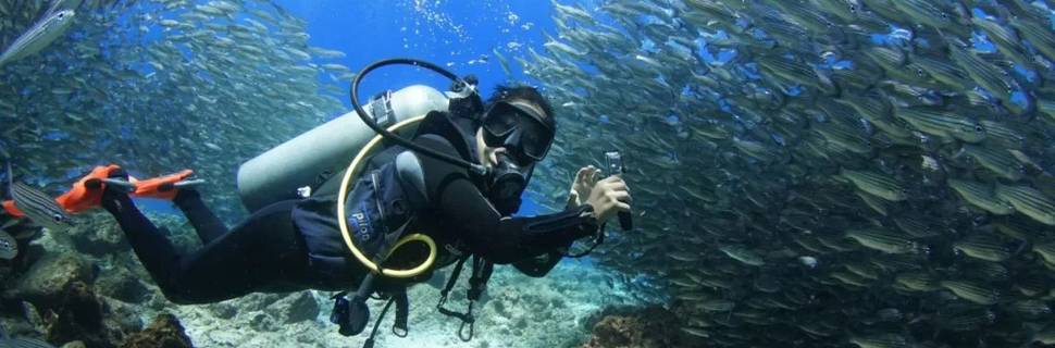 Scuba Iguana