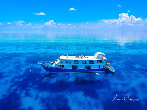 Coopers Narayana Liveaboard