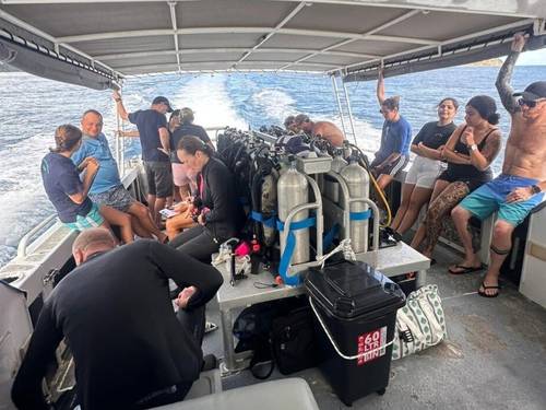 Whitsunday Dive Adventures