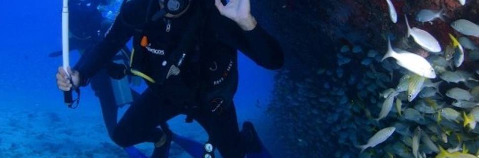 Scuba Shack
