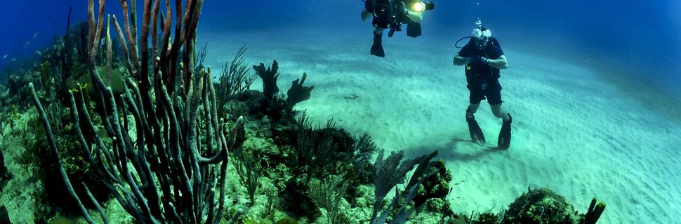 Dive Club Kassandra