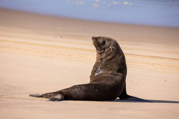 Namibia