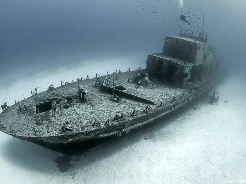Dive Vision Malta Ltd.
