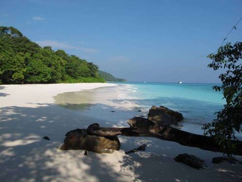 Khao Lak Explorer Diving Center: Similan Islands Liveaboard & Day Trips Richelieu Rock