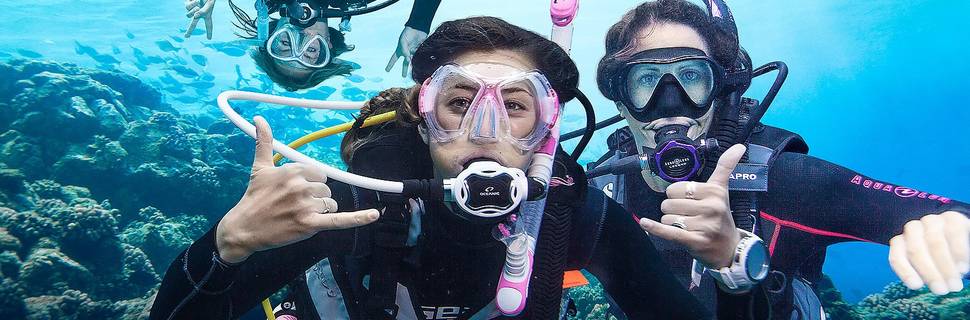 AQUA ONE Dive | PADI 5 Star IDC