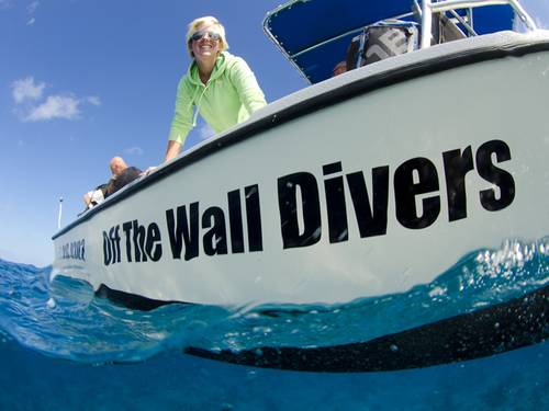 Off The Wall Divers