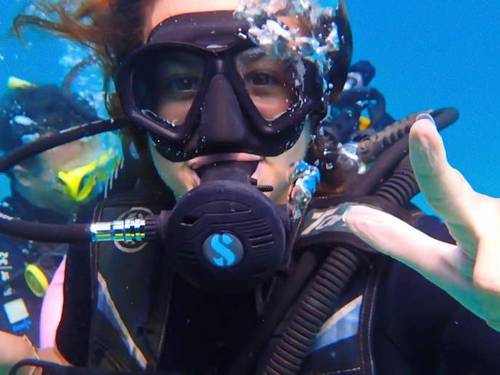Diving Koh Tao | Scuba Birds PADI Dive Center