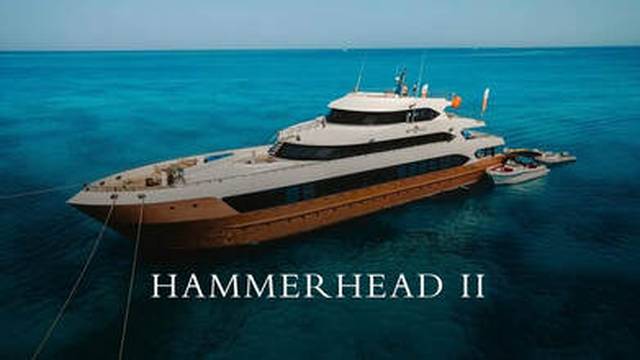 Hammerhead II Liveaboard