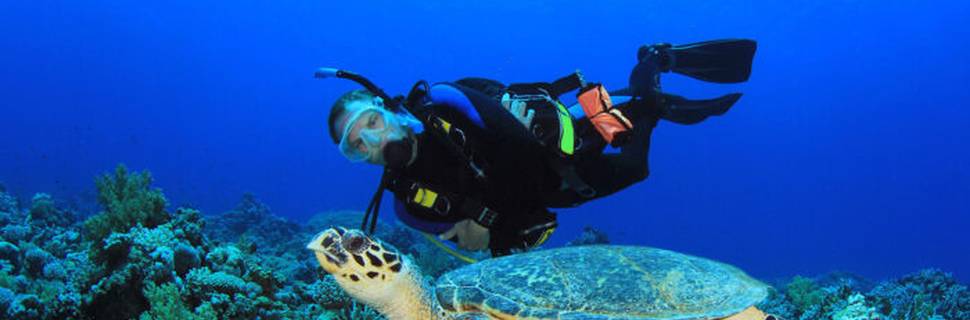 Cozumel Scuba Diving