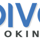 DIVEIN OKINAWA (다이브인 오키나와)