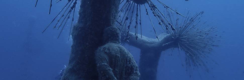 Blue Explorer Divers