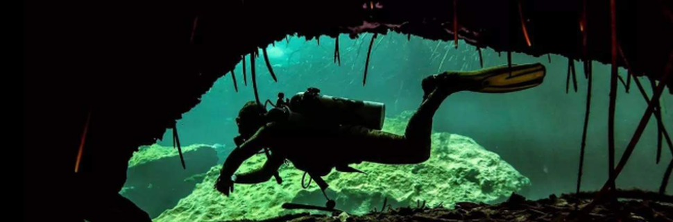 BUCEO-DIVING CENOTES PLAYA DEL CARMEN & MORE
