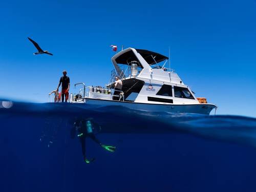 Seasport Divers
