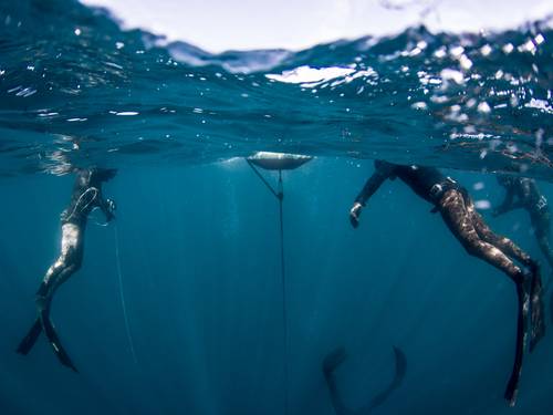 SPOT Freedive School - Freediving Portugal