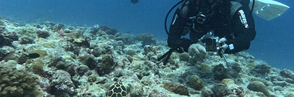 Benjaal Scuba