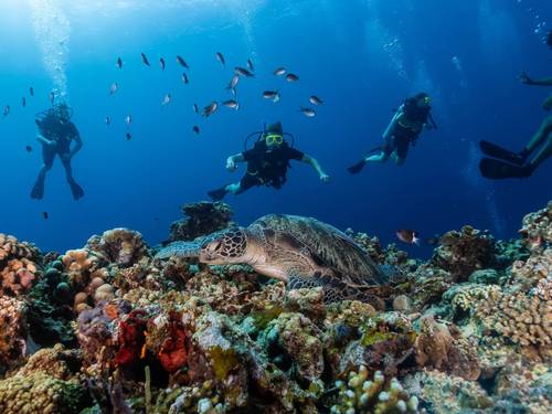 Gili Divers - Gili Trawangan