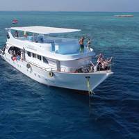 White Dolphin Diving Center - PADI Dive Resort / Tauchen in Hurghada