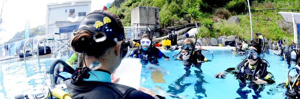 M's Diving Adventure Nishifunabashi