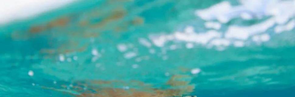 Assava Diving Koh Tao | PADI 5* CDC Scuba Diving Centre & Hotel Beach Resort, Thailand