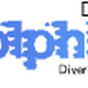 Dolphin Wave